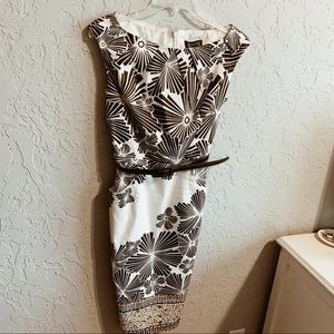 Adrianna Papell Dress Size 6